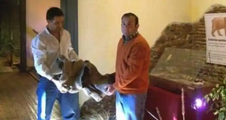 Otra ballena