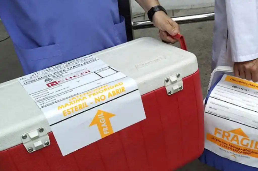 Santa Fe realizó 6 operativos de donación de órganos en simultáneo