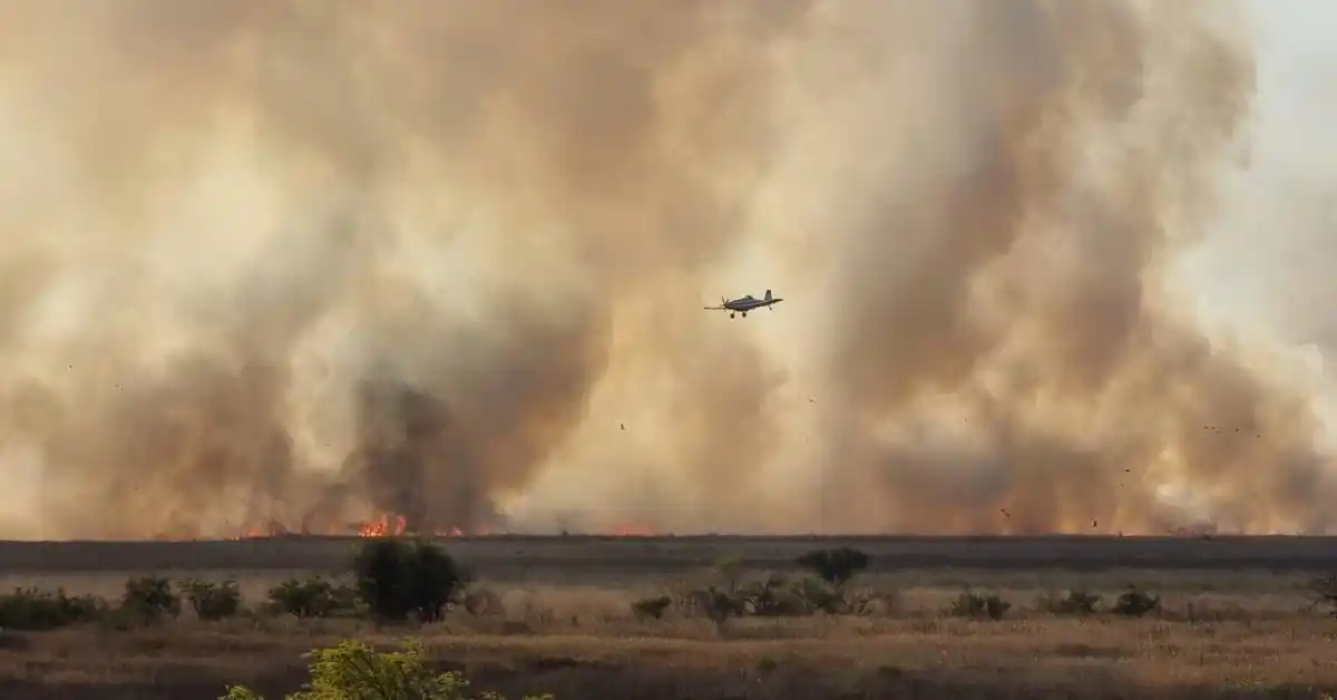 Humo por los incendios en islas: “Para los niños es como tener una madre que fuma durante el embarazo”