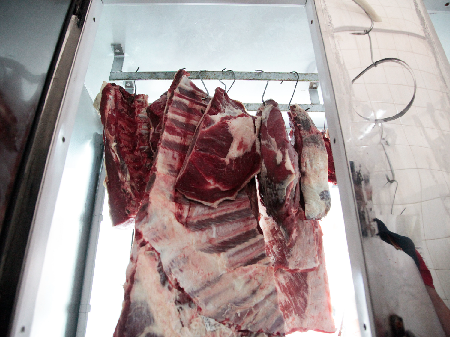 Reabren exportaciones de carne, excepto los cortes populares 