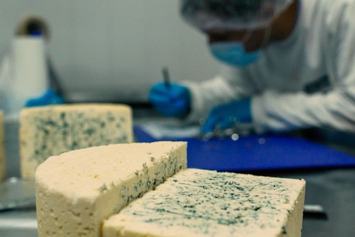 Ruta del Queso Azul