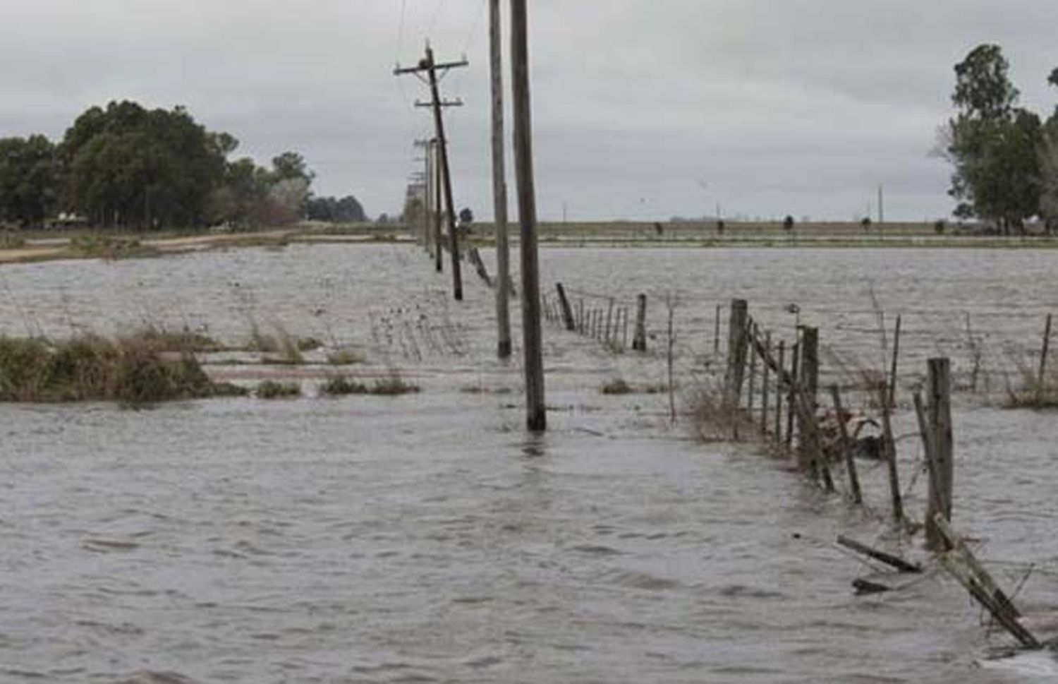 Emergencia y desastre agropecuario para 13 municipios