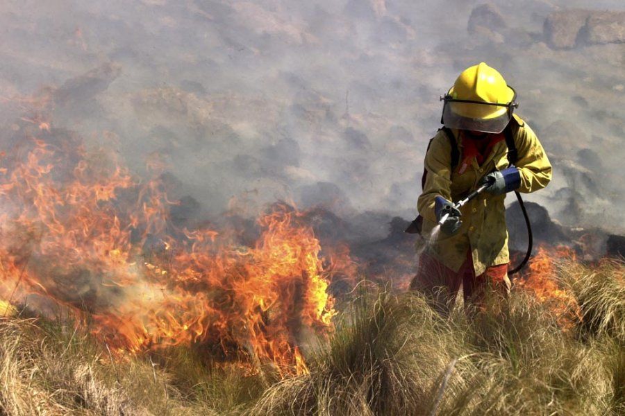Continúan los esfuerzos contra los incendios en Córdoba y la Cámara de Diputados declara la emergencia ambiental