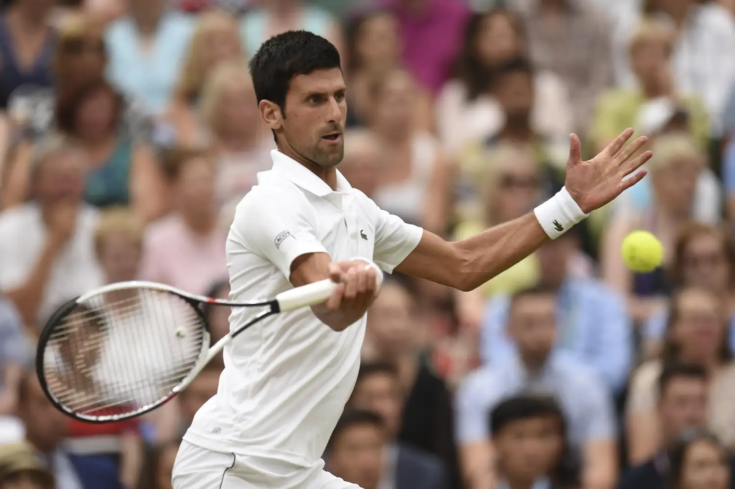Djokovic pudo con Nadal y define frente a Anderson