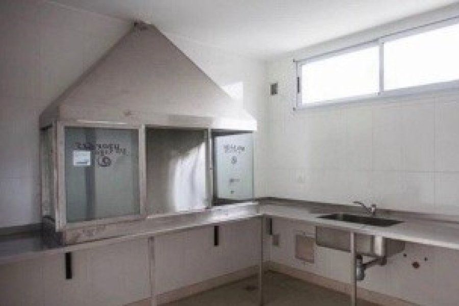 Horror en la morgue: denuncian que hay una plaga de ratas  que ya habría mordido dos cadáveres