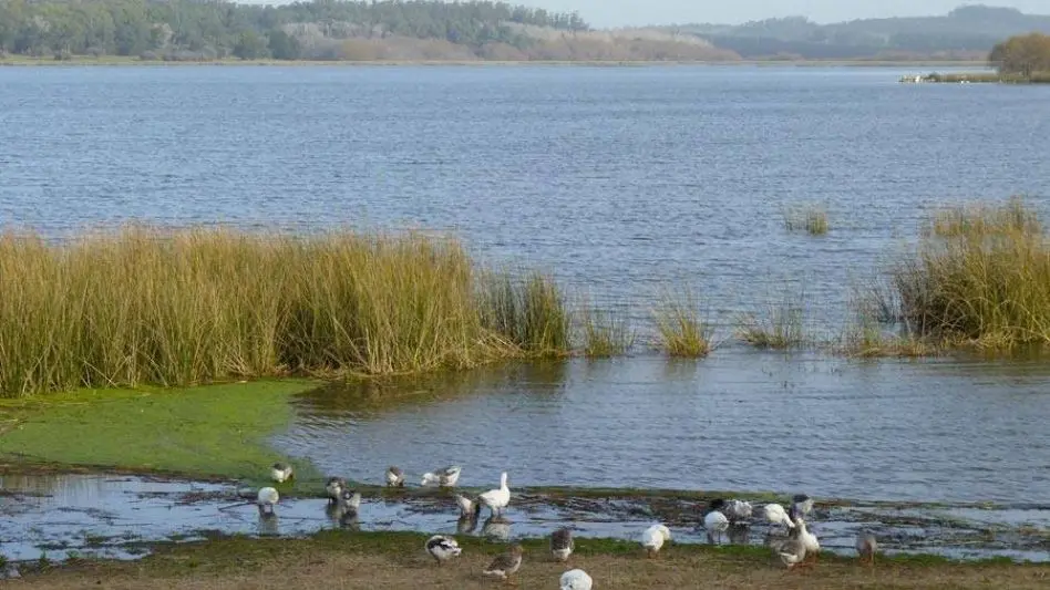 Laguna de los Padres: "Queremos solucionar algunas problemáticas con el mantenimiento"