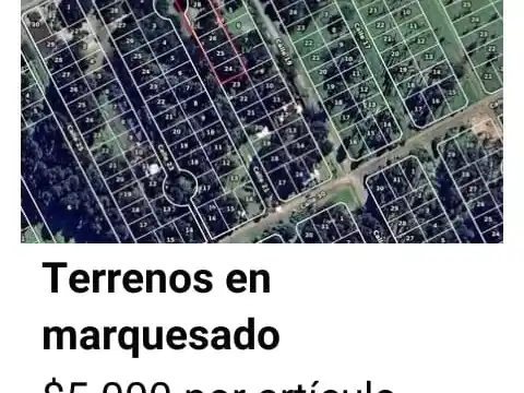 marque