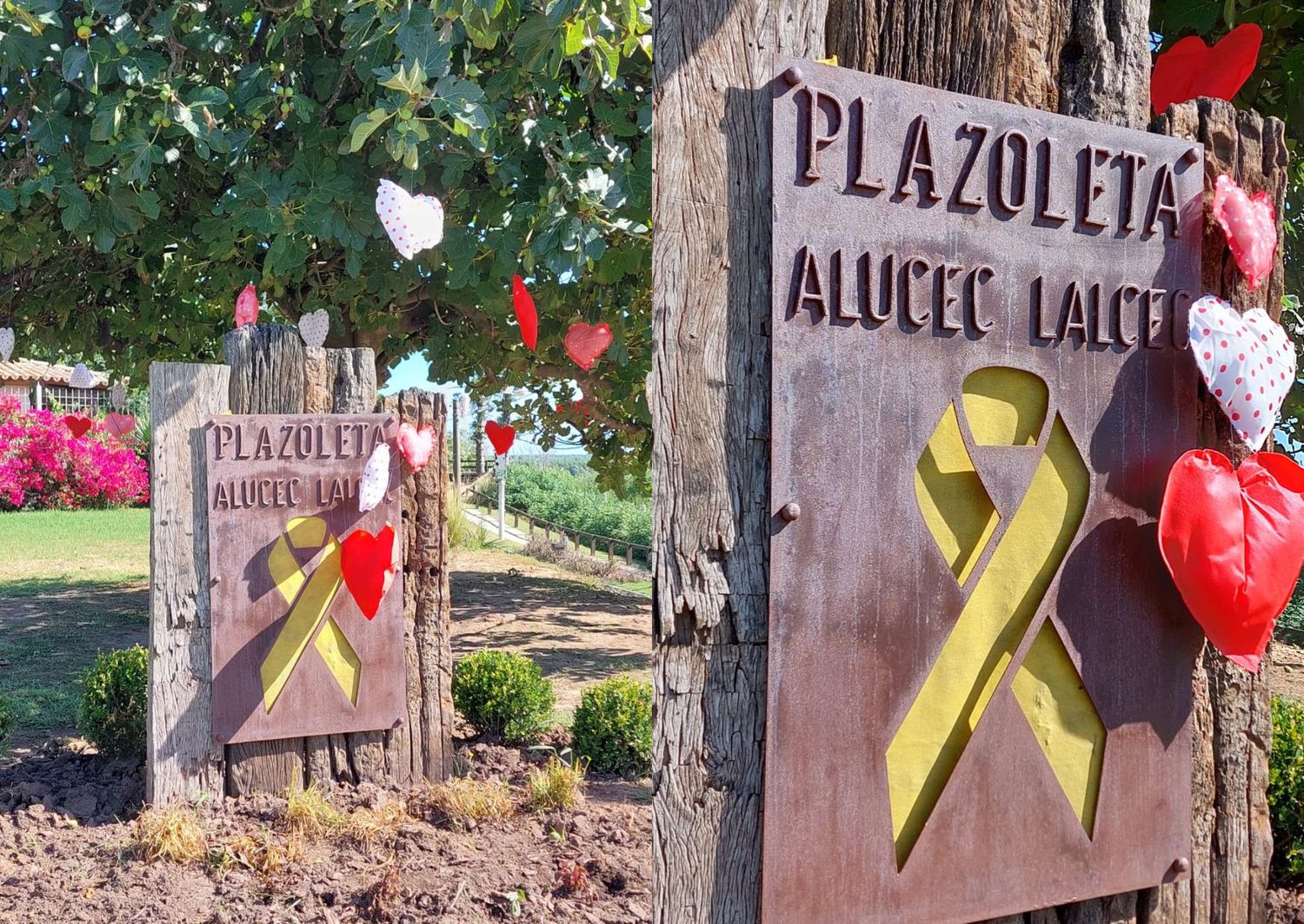 Así Alucec festeja el Día de los Enamorados