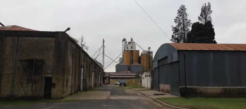 Agroindustria clausuró molino en Azul 