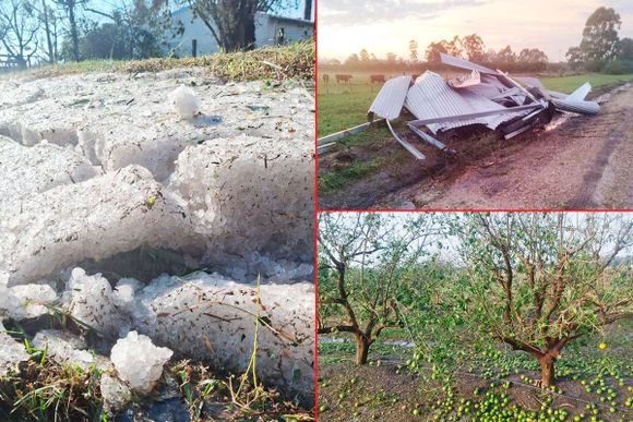 Temporal en Entre Ríos: hielo hasta las 10 de la mañana y destrozos