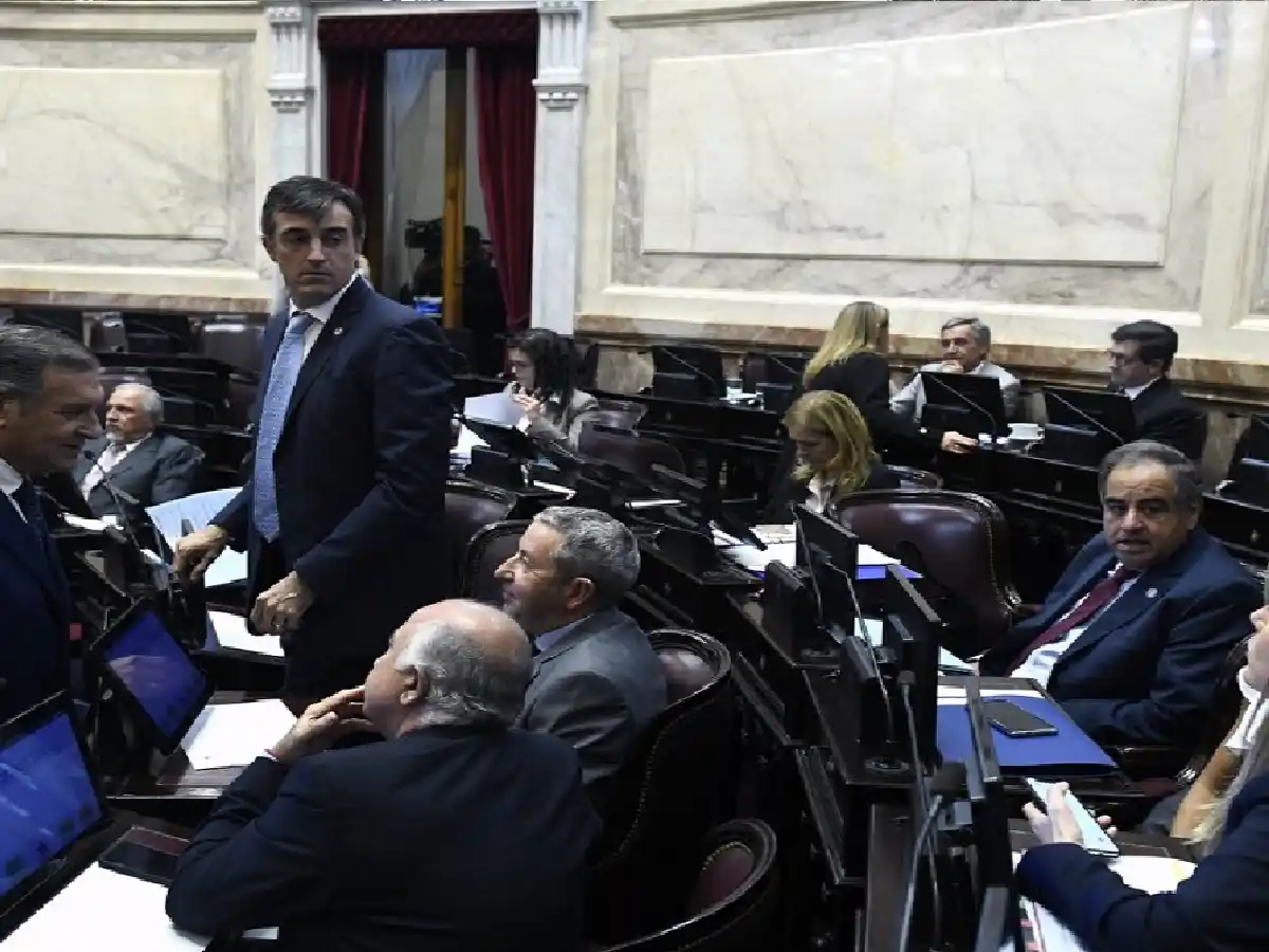 El Senado sesionará tras dos meses y tratará la Emergencia Alimentaria