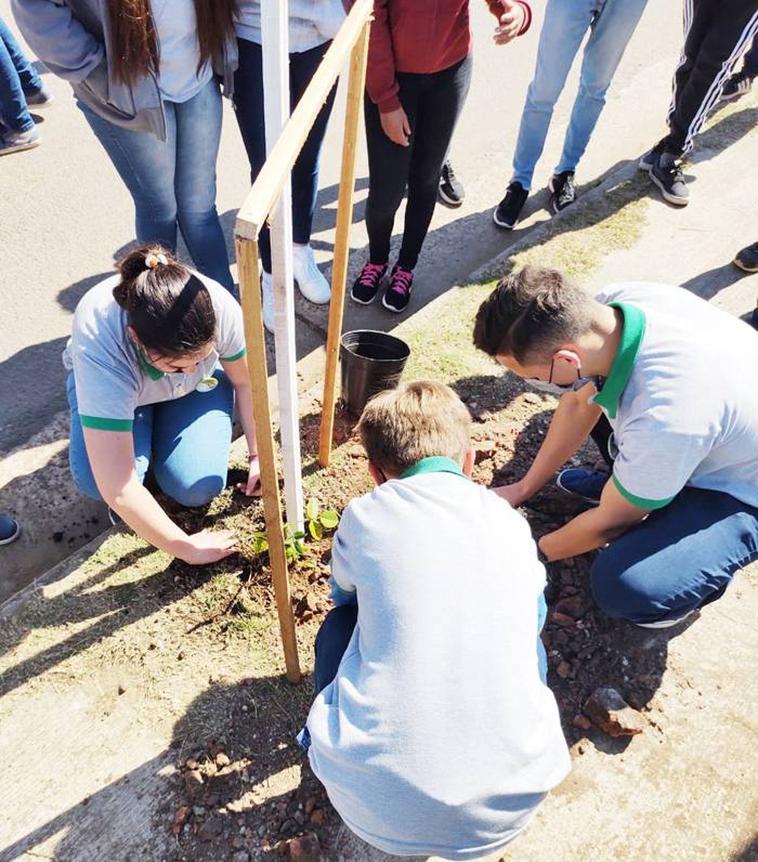 Alumnos de 1º año plantaron árboles