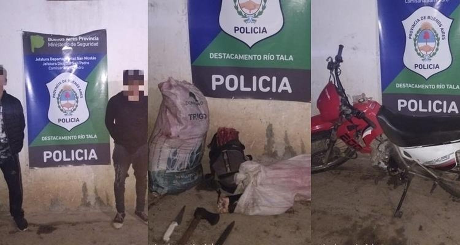 Río Tala: Delincuentes faenaron una vaca y los detuvieron cuando se escapaban en moto