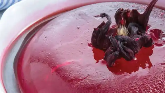 Deliciosa de gelatina de flor de Jamaica (+Receta)