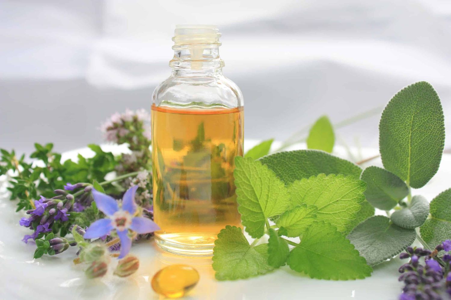 Desparasitante casero con solo dos ingredientes (+Video)
