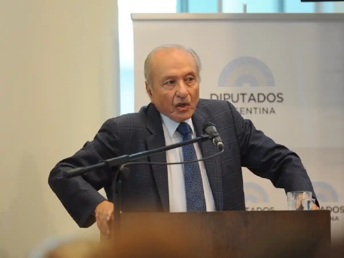 Antiabortistas expusieron en Diputados 