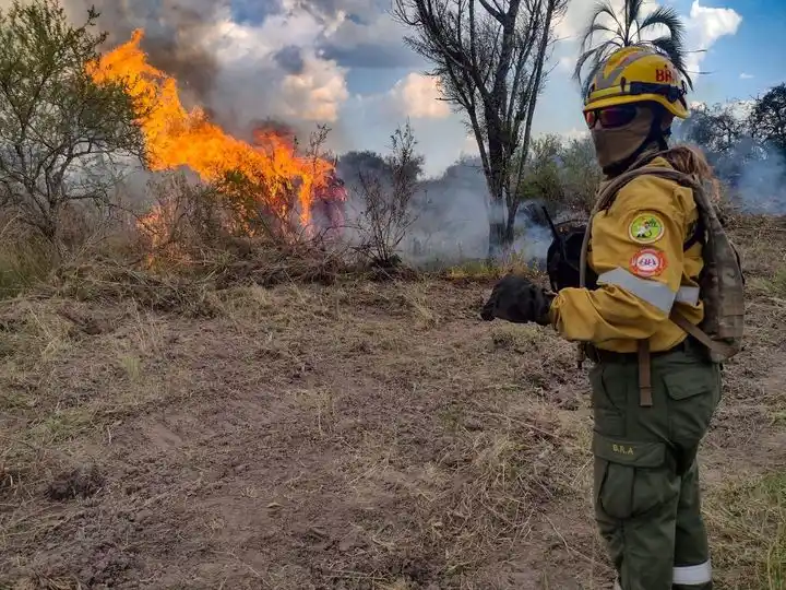 Salud respiratoria: aumenta la preocupación por los incendios forestales en todo el país