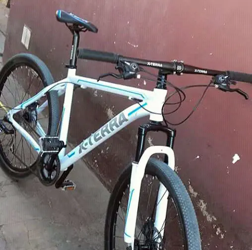Un ladrón trepó una reja para robar en una casa