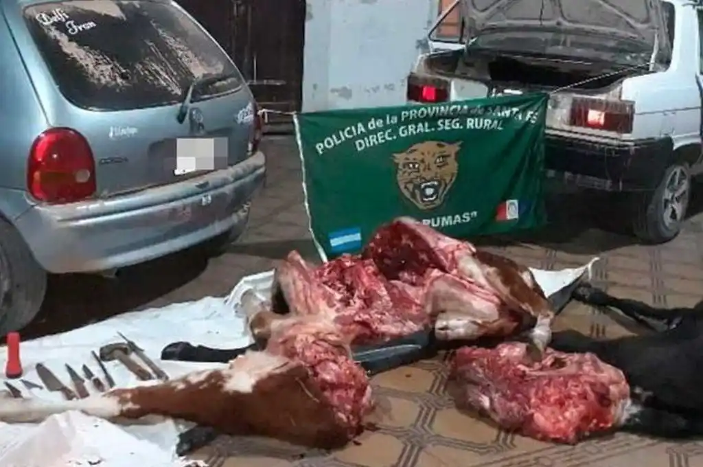 Ruta 2: faenaron vaquillas, las trasladaban en dos autos y fueron detenidos al intentar fugarse de un control