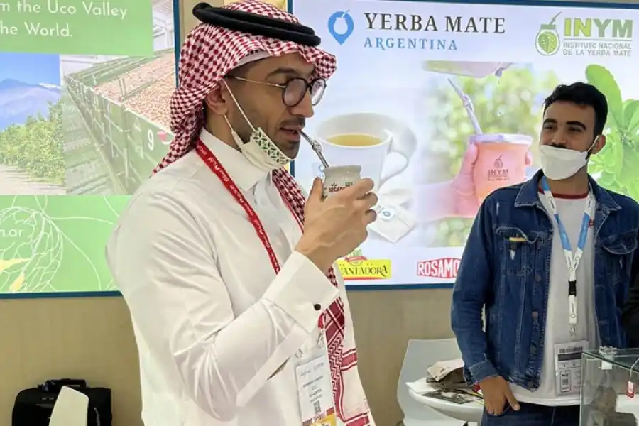 De Argentina a Medio Oriente: crece el interés por la yerba mate nacional