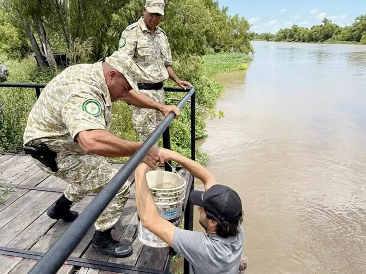 Realizaron la primera liberación de pacú para el refuerzo de especies nativas en el Paraná Medio