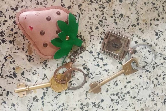 Encontraron estas llaves
