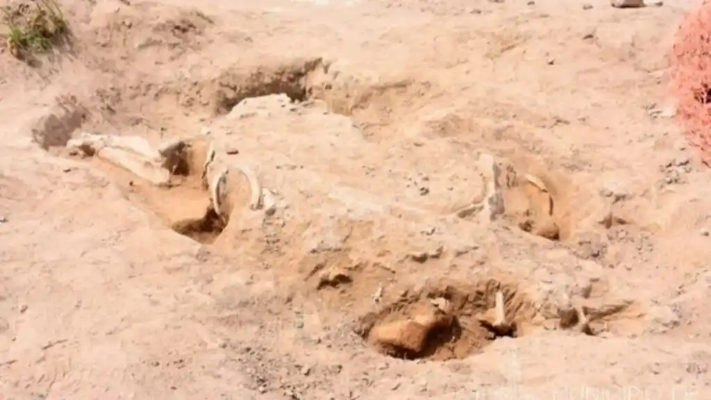 Perezoso Gigante fósil