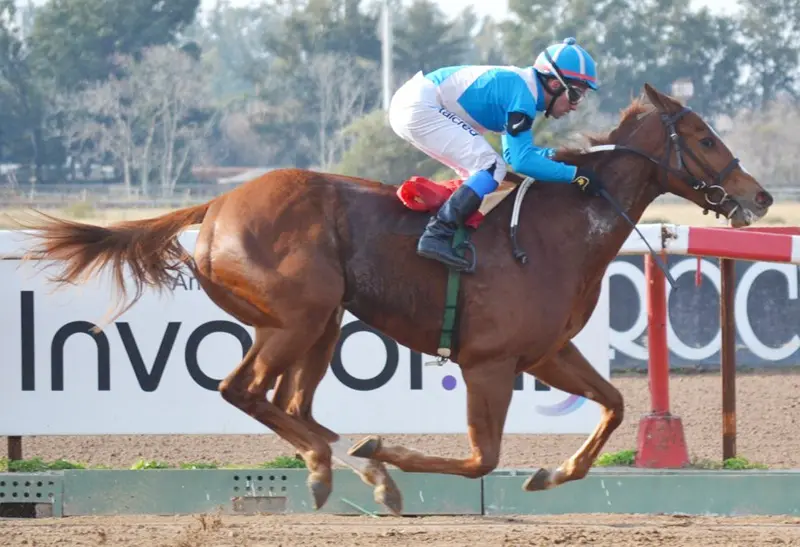 Jueves 2: Actividad Hipódromo de La Plata
