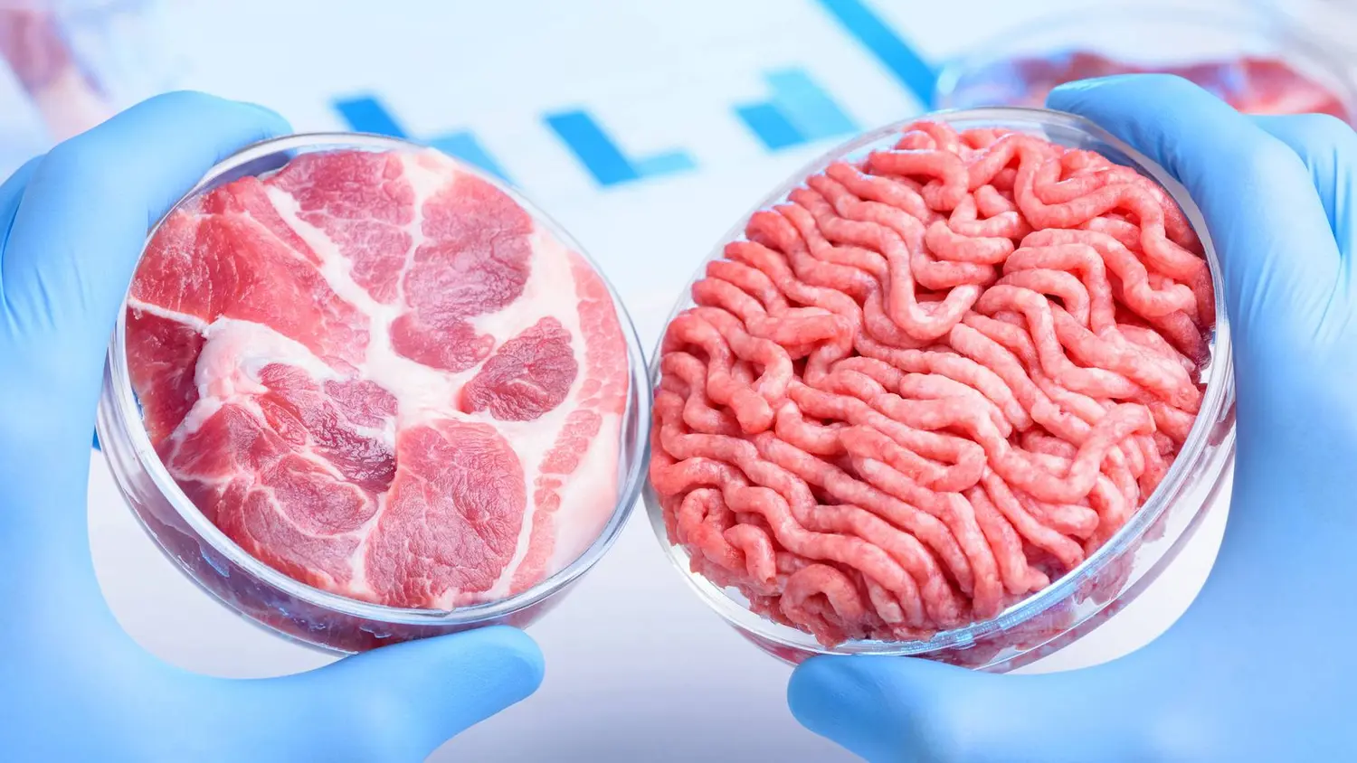 Comer insectos y carne de laboratorio: las 2 alternativas  para reducir en un 80 % el impacto humano en el planeta