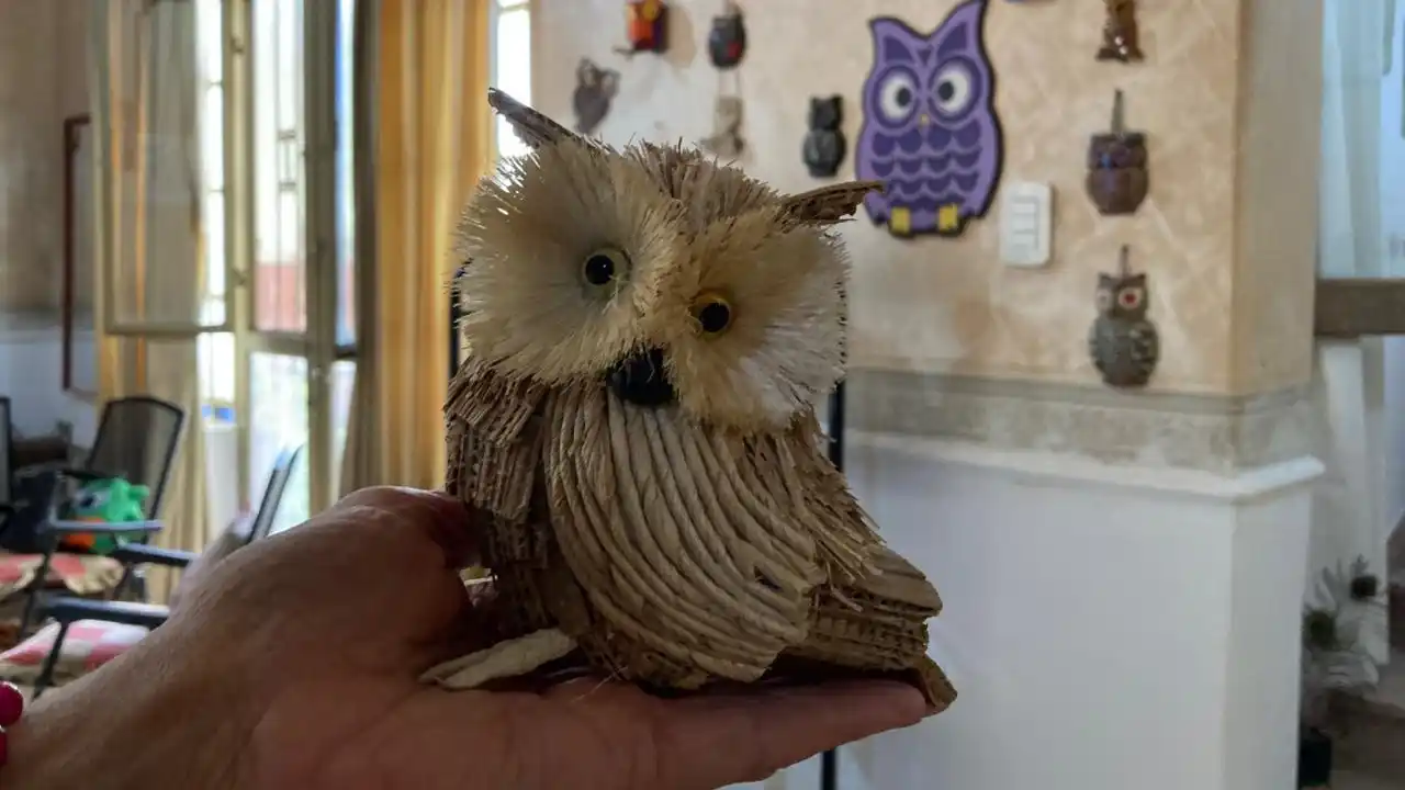 lechuzas raquel lede