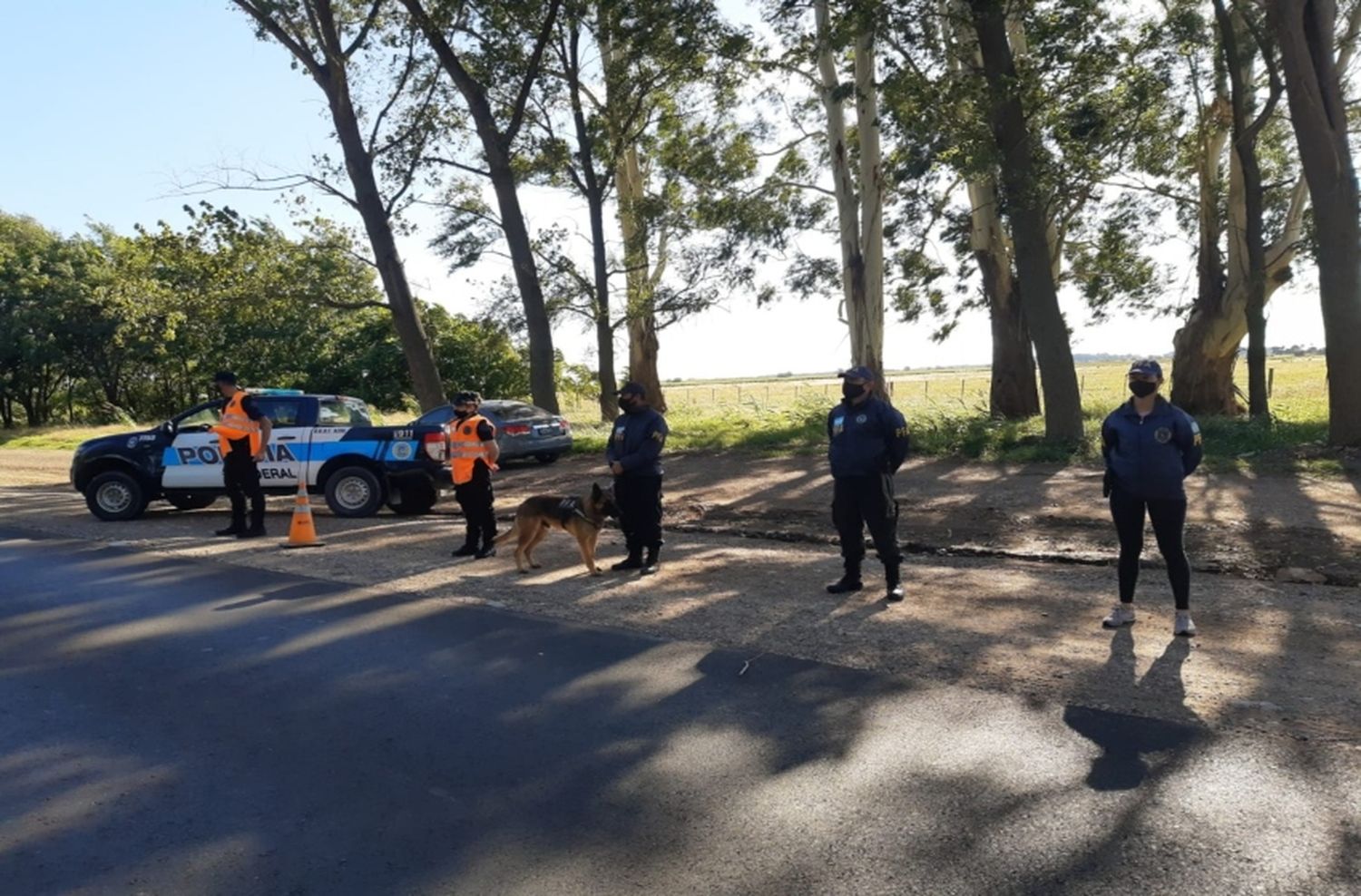 Intensos operativos de la Policía Federal en las rutas 226 y 51