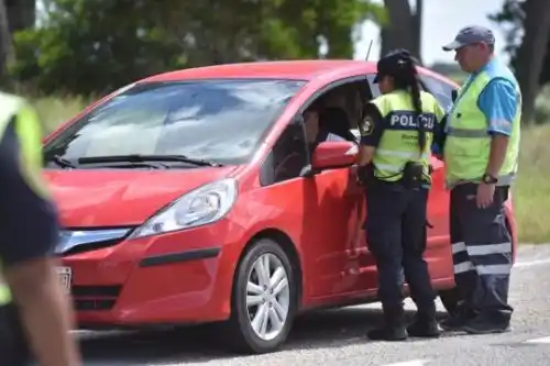 Operativo Sol: en lo que va del verano secuestraron 300 vehículos en rutas