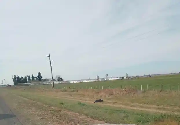 Hallaron a un hombre dentro de una bolsa al costado de la Ruta 12