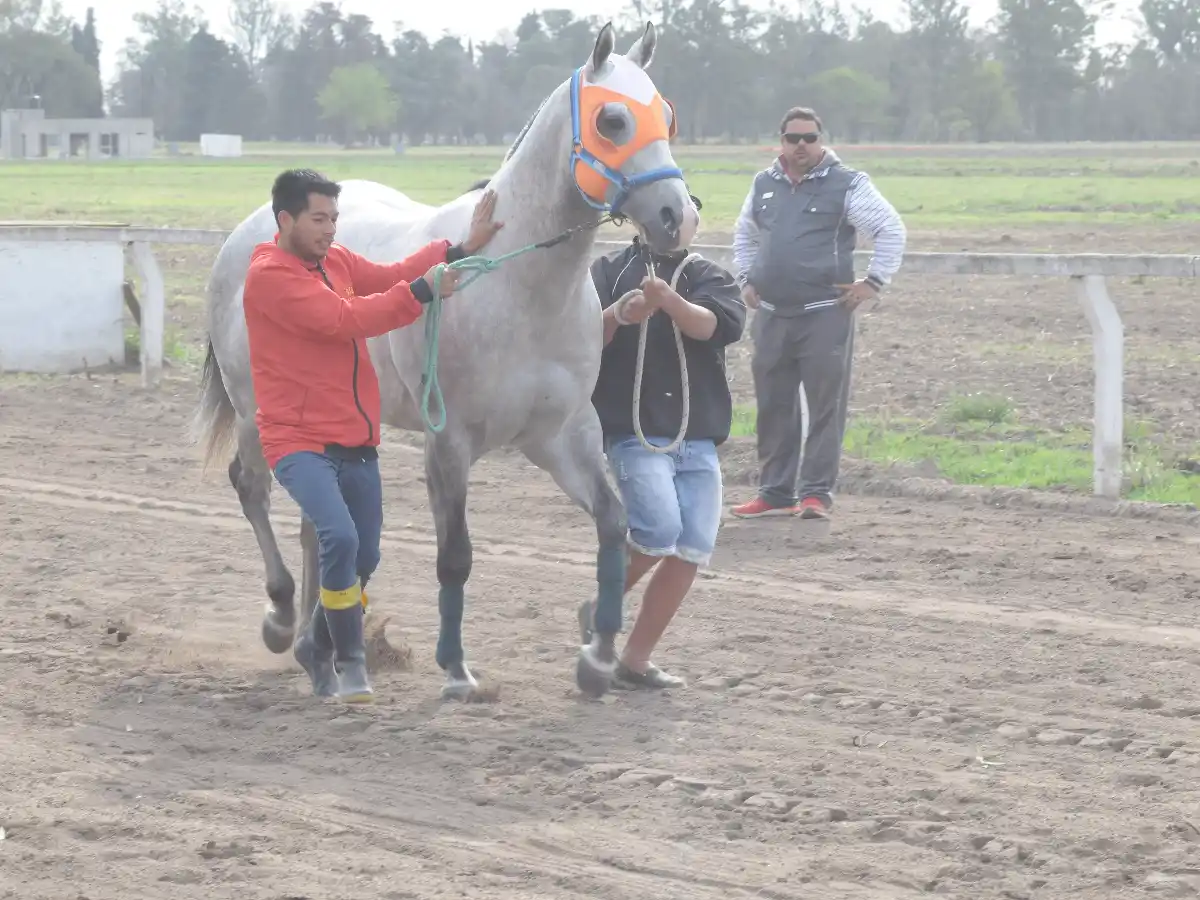 Llegó "El Día del Vértigo"