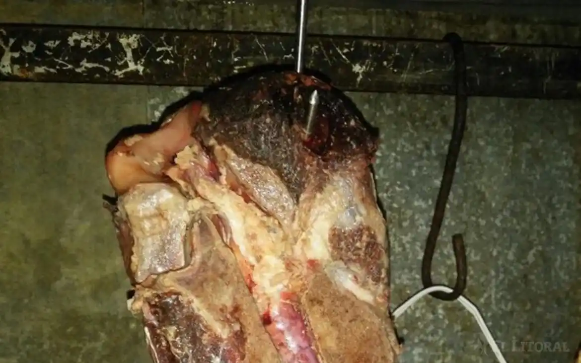 Santo Tomé: decomisaron 600 kilos de carne