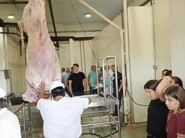 Formosa afianza la gestión sanitaria en frigoríficos