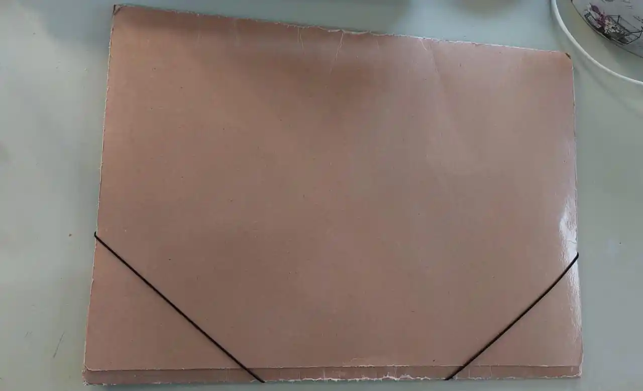 Encontraron una carpeta de artística en calle Mitre