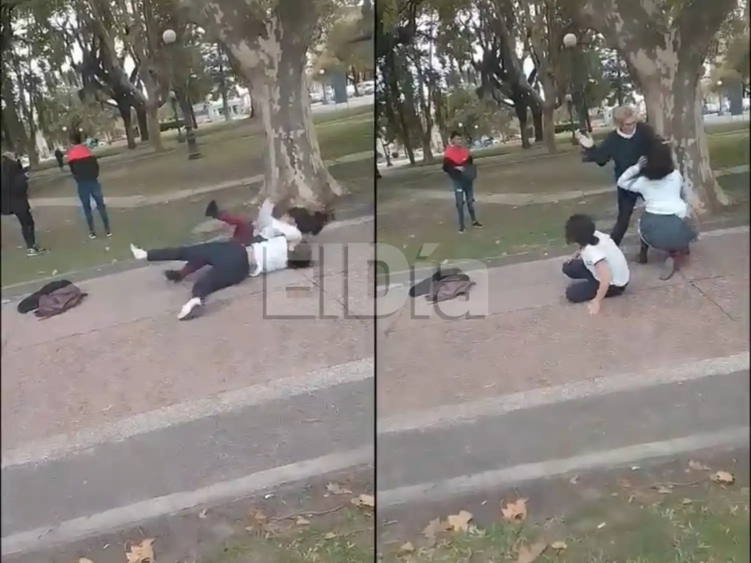 Brutal pelea entre dos alumnas en la Plaza San Martín: una señora las separó a los cachetazos