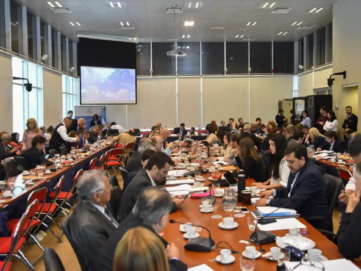 Cómo votó Llaryora el dictamen: el oficialismo buscará aprobar mañana el Presupuesto 2019