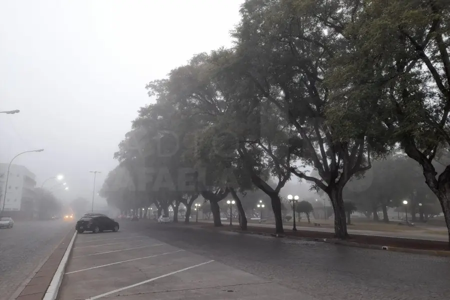 ¡No se ve nada! El Servicio Meteorológico emitió una advertencia por niebla en gran parte de nuestra región