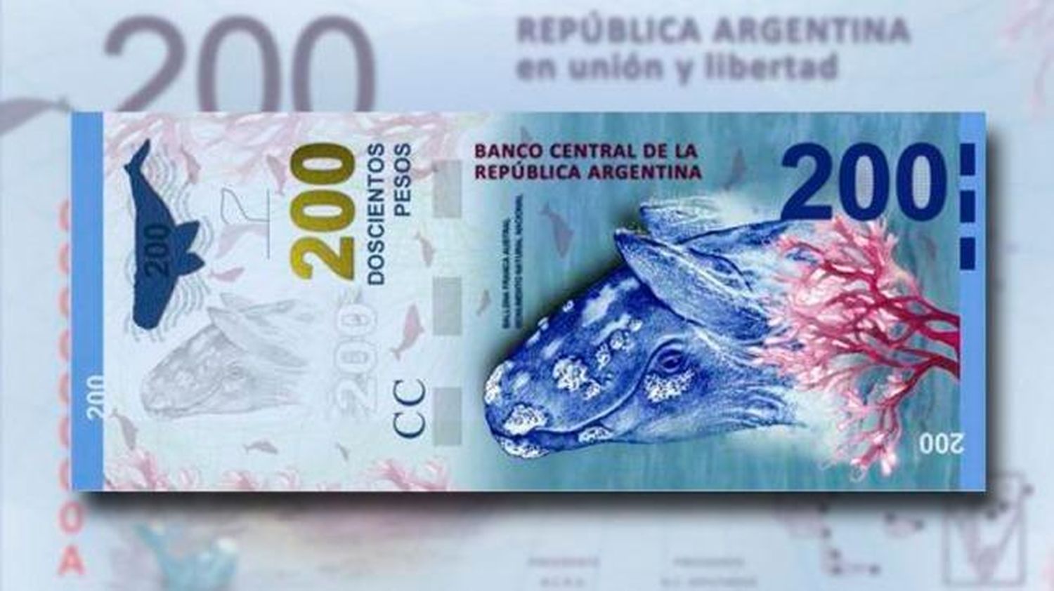 Sturzenegger presentará el nuevo billete de 200 pesos en Puerto Madryn