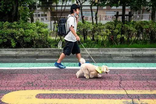 ¿Cómo así? Crean patrulla de perros en Tokio (+ Fotos)