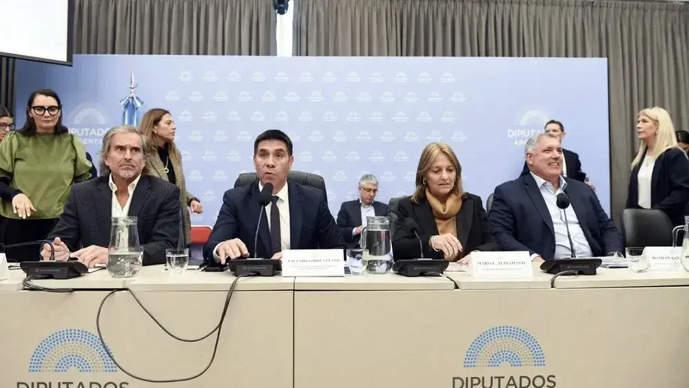 El debate en comisión del proyecto de la zona fría.