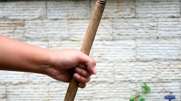 Lo denunciaron por matar a palazos a un perro