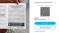 Habilitan la descarga del certificado digital de vacunación contra el covid 19