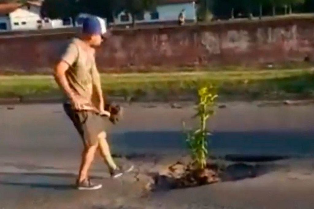 Agarró un bache, rompió el tren delantero y decidió plantar un árbol