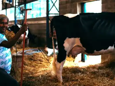 La cadena láctea presenta sus novedades en la Sociedad Rural de San Francisco