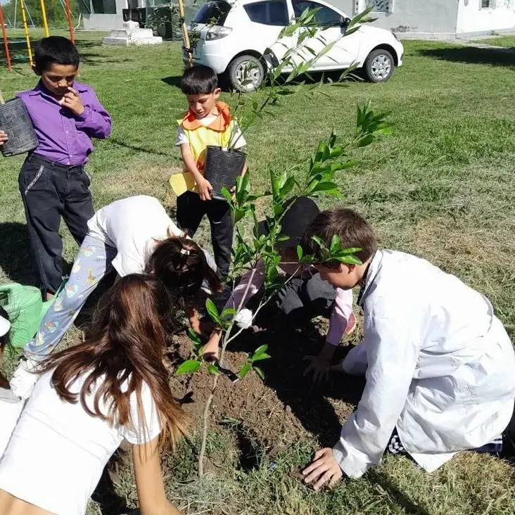 jóvenes estudiantes de Punta del Monte contribuyeron en la plantación de las especies autóctonas.