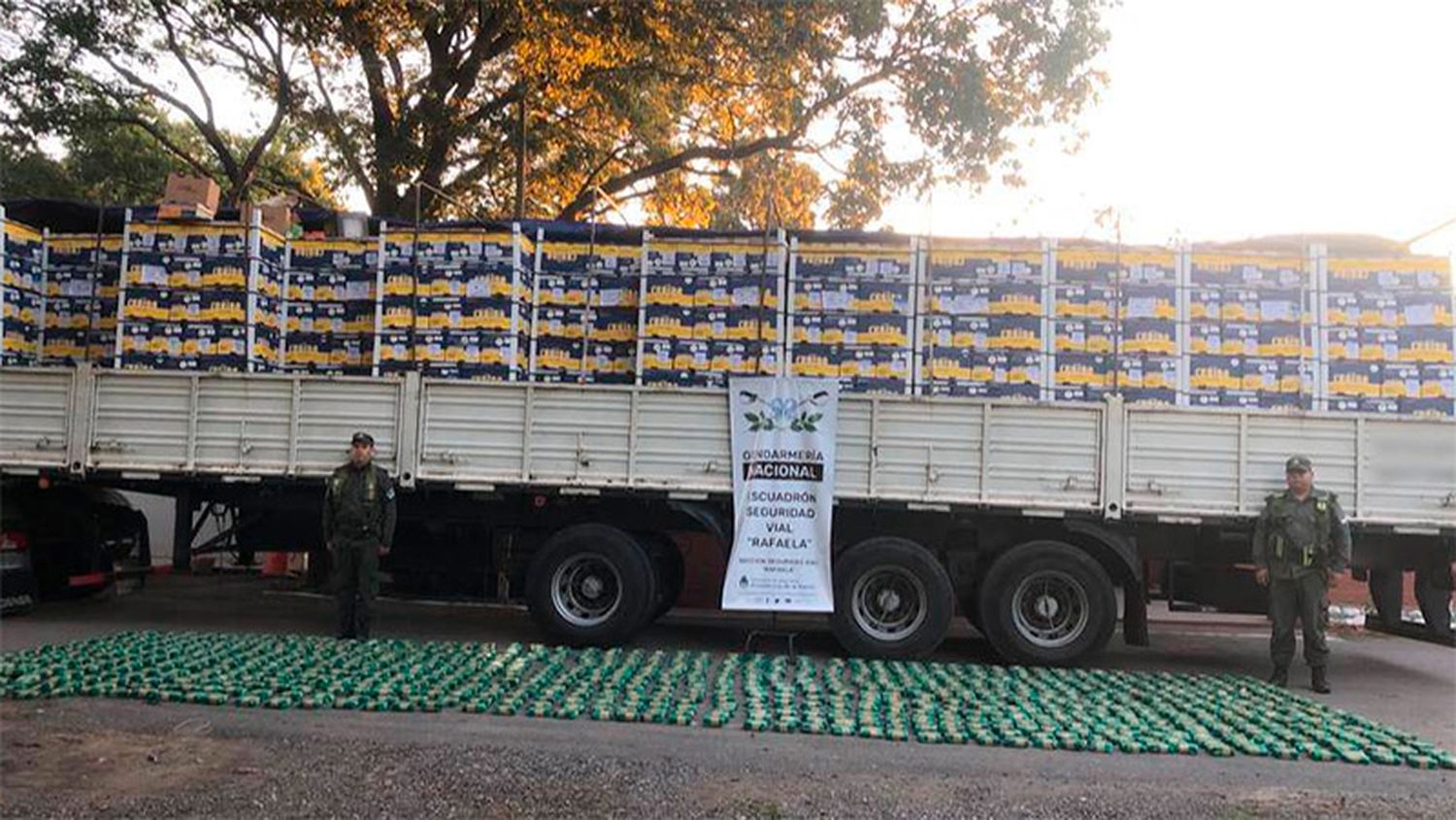 Llevaba 200 kilos de hojas de coca entre cargamento de limones