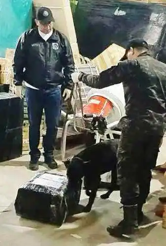 La Policía provincial secuestró
más de 19 kilos de marihuana